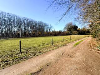 Maison à louer à Kapellen