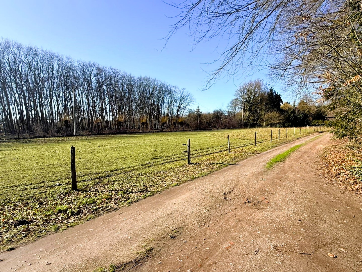 Maison à louer à Kapellen avec 3 chambres - photo 3