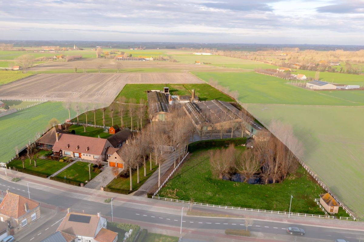 Vleesveebedrijf te koop op 3,29 ha te koop te Alveringem - foto 3