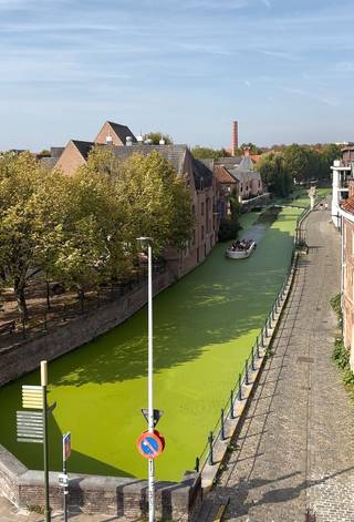 Appartement à louer à Gand