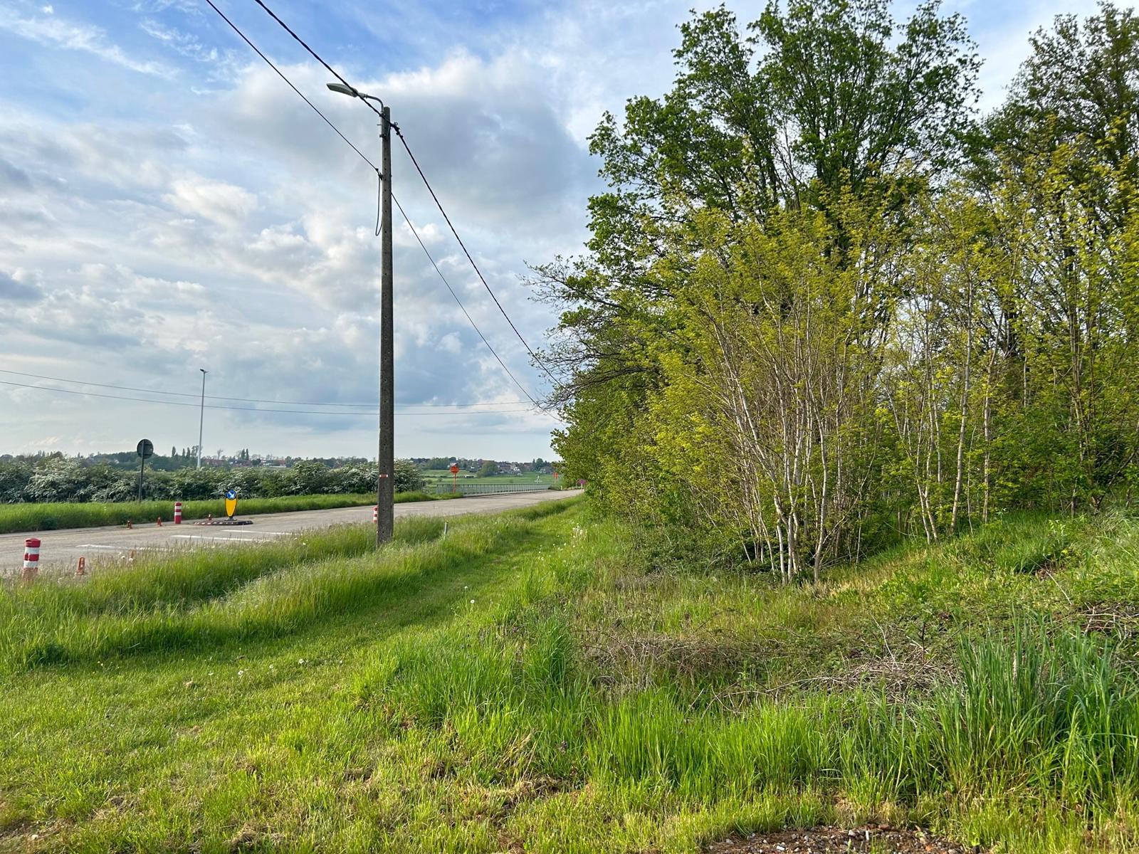 Land for sale in Bekkevoort - photo 4