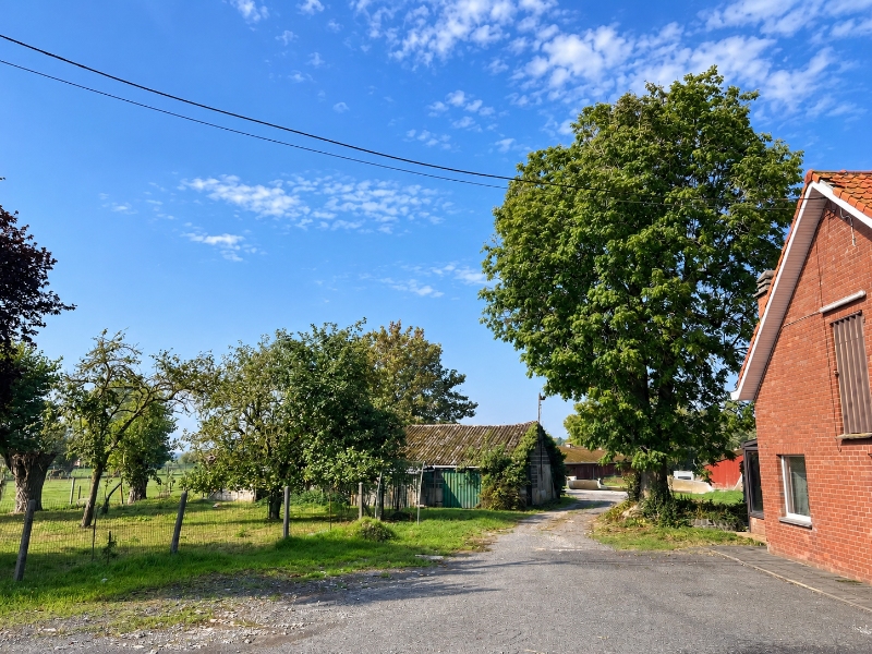 landelijke woning met bijgebouwen en grond in Diksmuide-Woumen - foto 4