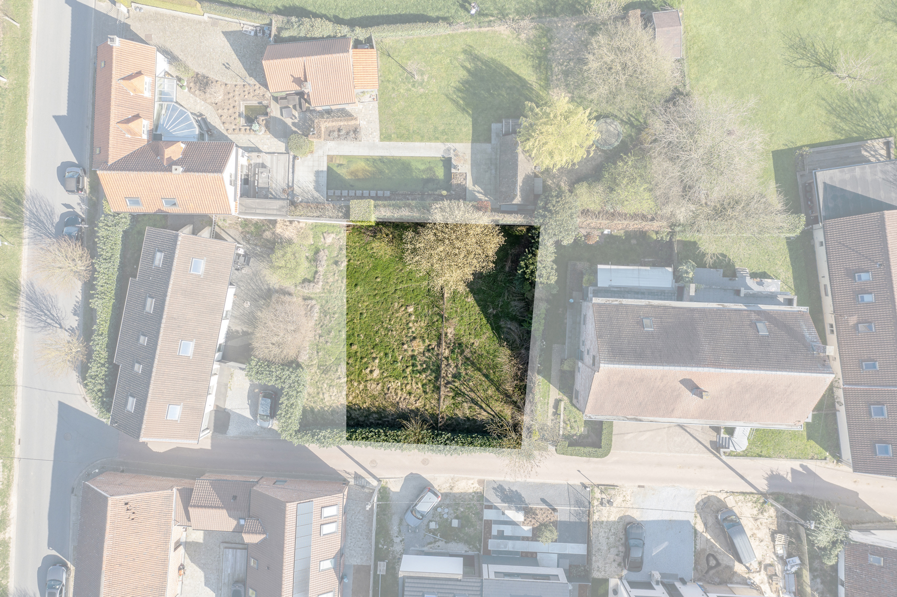 Land for sale in Relegem - photo 2