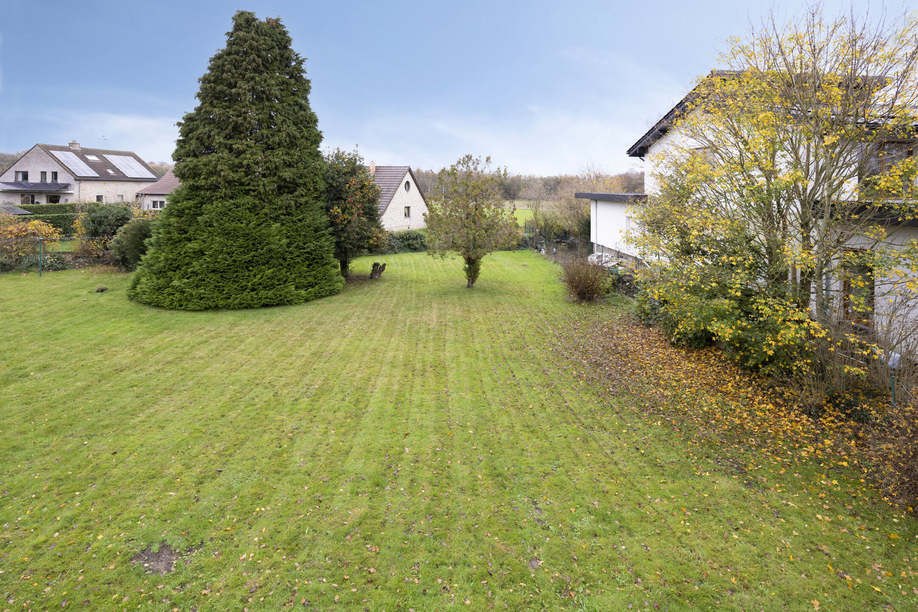 Grond te koop in Bierbeek - foto 2