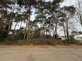 Land for sale in Mol