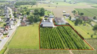 Commercial for sale in Alken