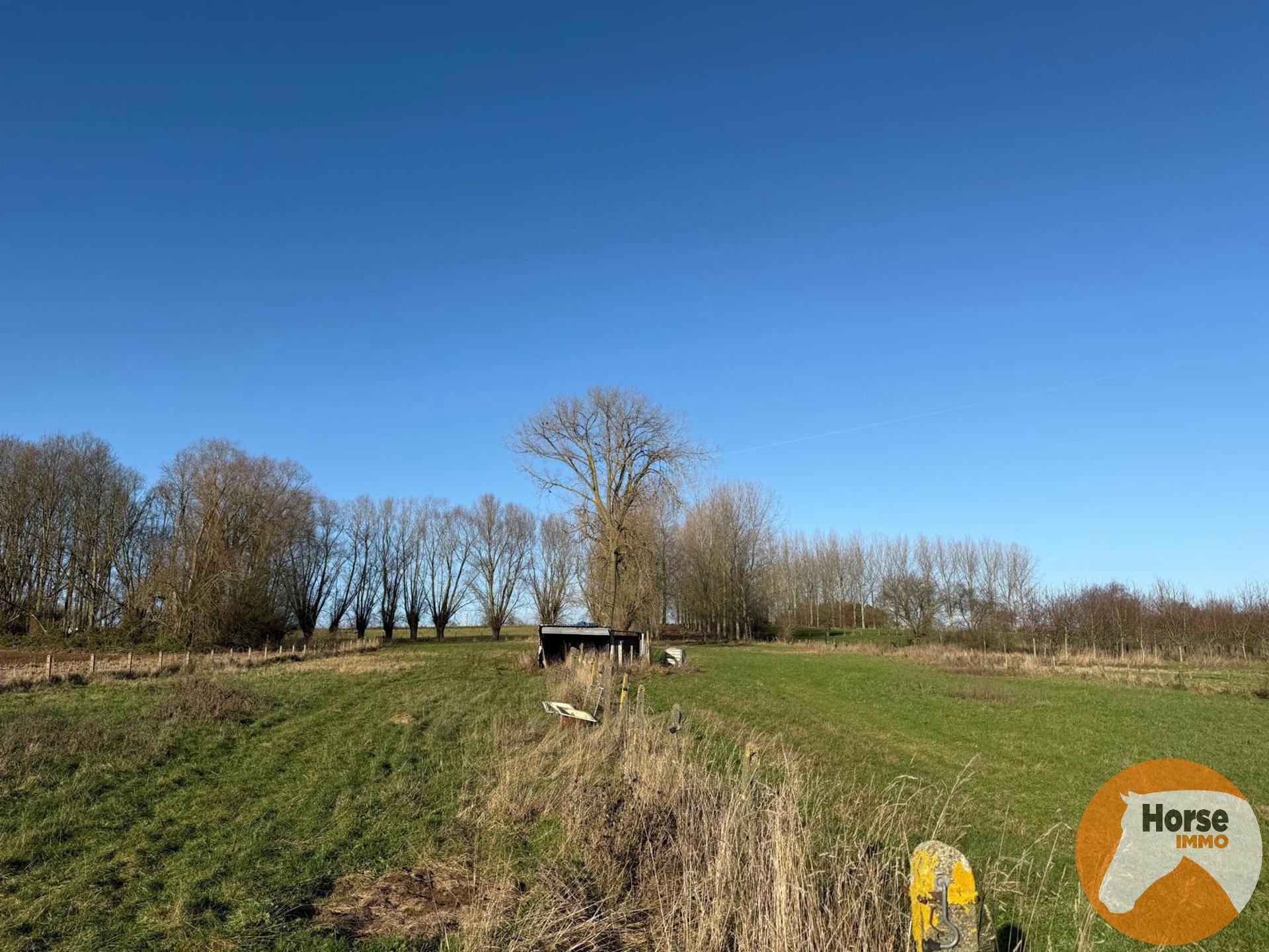 HAALTERT – Weide met stal op ± 65 are - foto 4