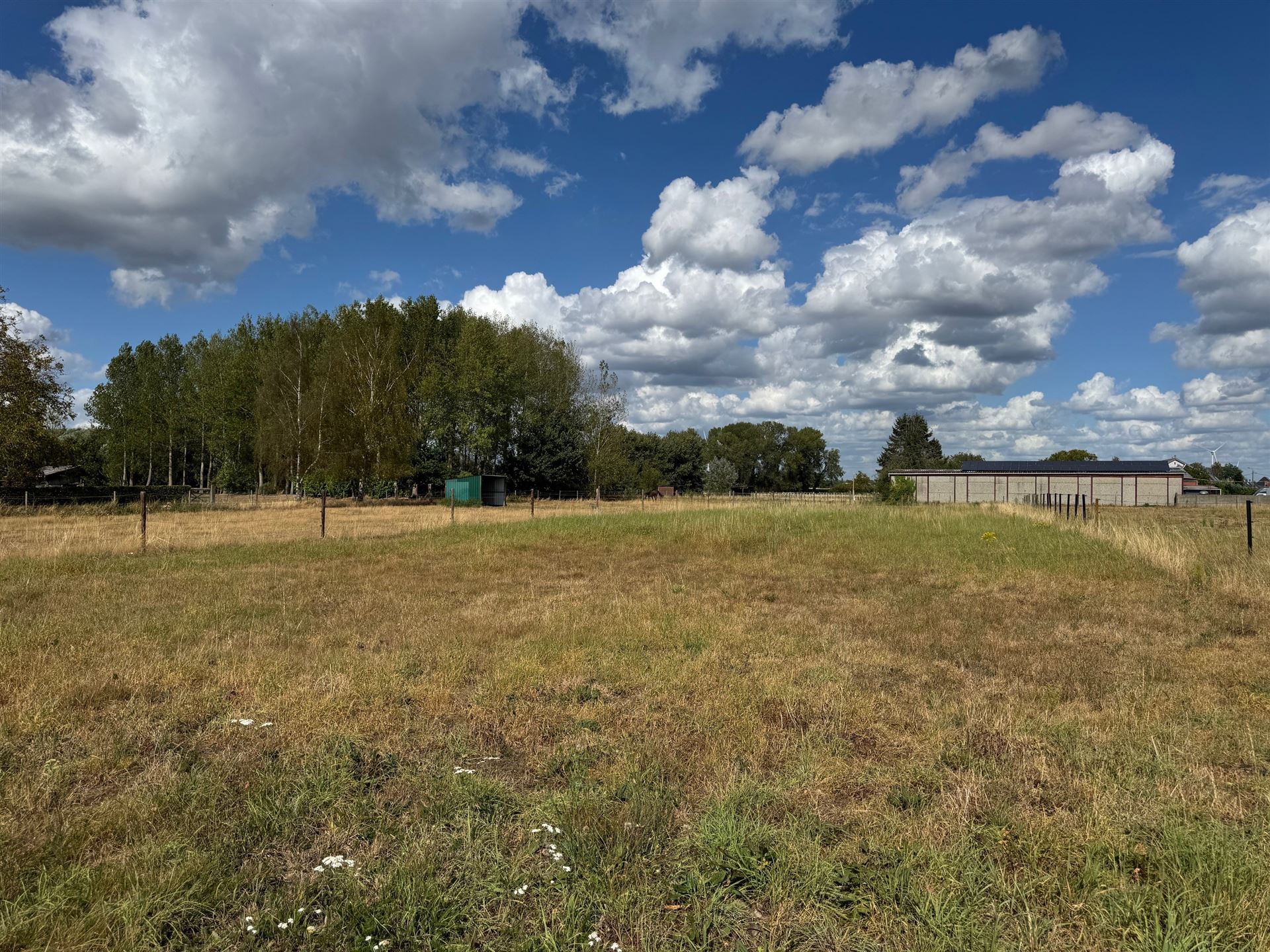 Land for sale in Puurs-Sint-Amands - photo 4