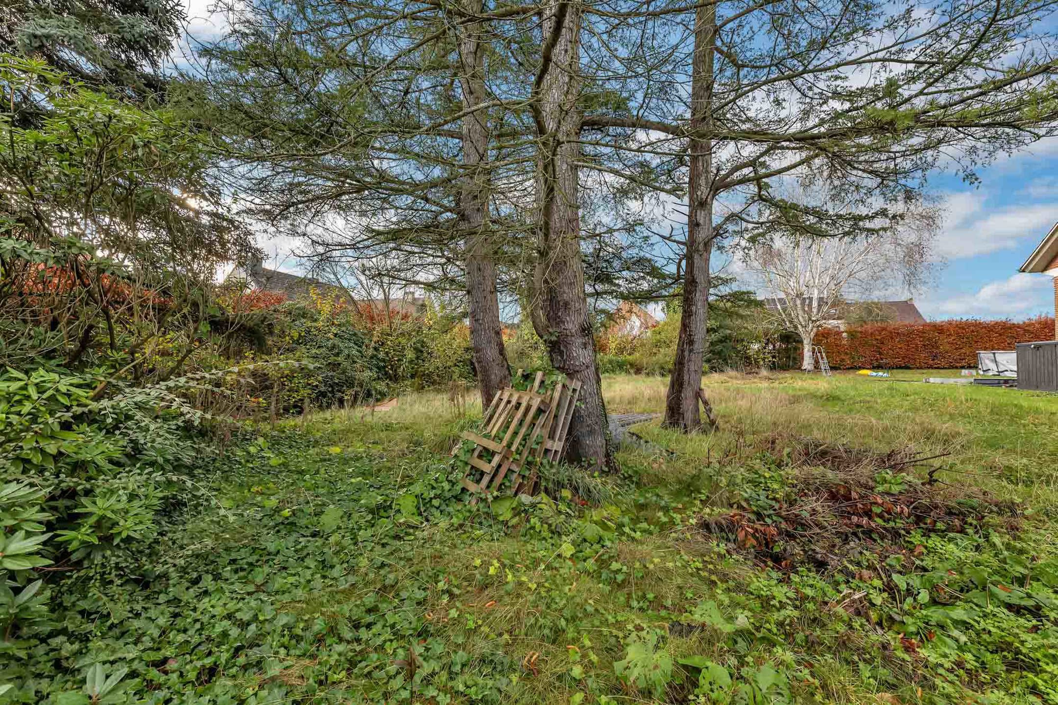 Land for sale in Roosdaal - photo 2