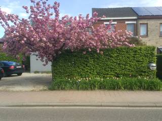 House for sale in Boechout