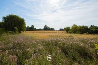 Droomt u ervan uw eigen woning te bouwen op een rustige locatie met een landelijke uitstraling én een uitstekende bereikbaarheid? Dan zijn deze twee prachtige bouwgronden in Vlezenbeek precies wat u zoekt. Elk perceel heeft een oppervlakte van 10 are, een ideale breedte van circa 20 meteren een diepte van ongeveer 50 meter, waardoor u alle ruimte heeft om een ruime vrijstaande gezinswoning met een mooie tuin te realiseren. De gronden bevinden zich in een aangename en residentiële omgeving, midden in het groene Pajottenland. U geniet er dagelijks van rust, natuur en privacy, terwijl winkels, scholen, openbaar vervoer, Halle, Brussel en de belangrijkste invalswegen zich op korte afstand bevinden. Zo combineert u een landelijke woonomgeving met een vlotte verbinding naar alle voorzieningen. Volgens de geldende verkavelingsvoorschriften kan op elk perceel een vrijstaande eengezinswoning in open bebouwing worden opgericht, met maximaal twee bouwlagen, een bouwdiepte van maximaal 15 meter op het gelijkvloers en 12 meter op de verdieping en een dakhelling tussen 25° en 45°. Ook een afzonderlijk bijgebouw is mogelijk binnen de geldende voorschriften. De percelen zijn gelegen in woongebied met landelijk karakter en maken deel uit van een vergunde verkaveling. Doe een bod vanaf € 195.000 per lot en grijp deze unieke kans om uw droomwoning te bouwen op een toplocatie waar ruimte, rust en een uitstekende bereikbaarheid perfect samenkomen. Neem vandaag nog contact met ons op voor meer informatie of de verkavelingsvoorschriften.