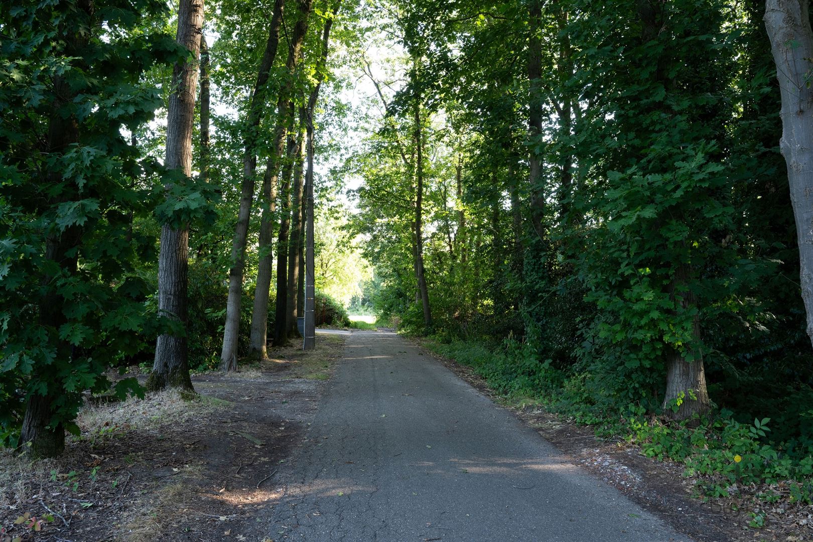 Land for sale in Malle - photo 5
