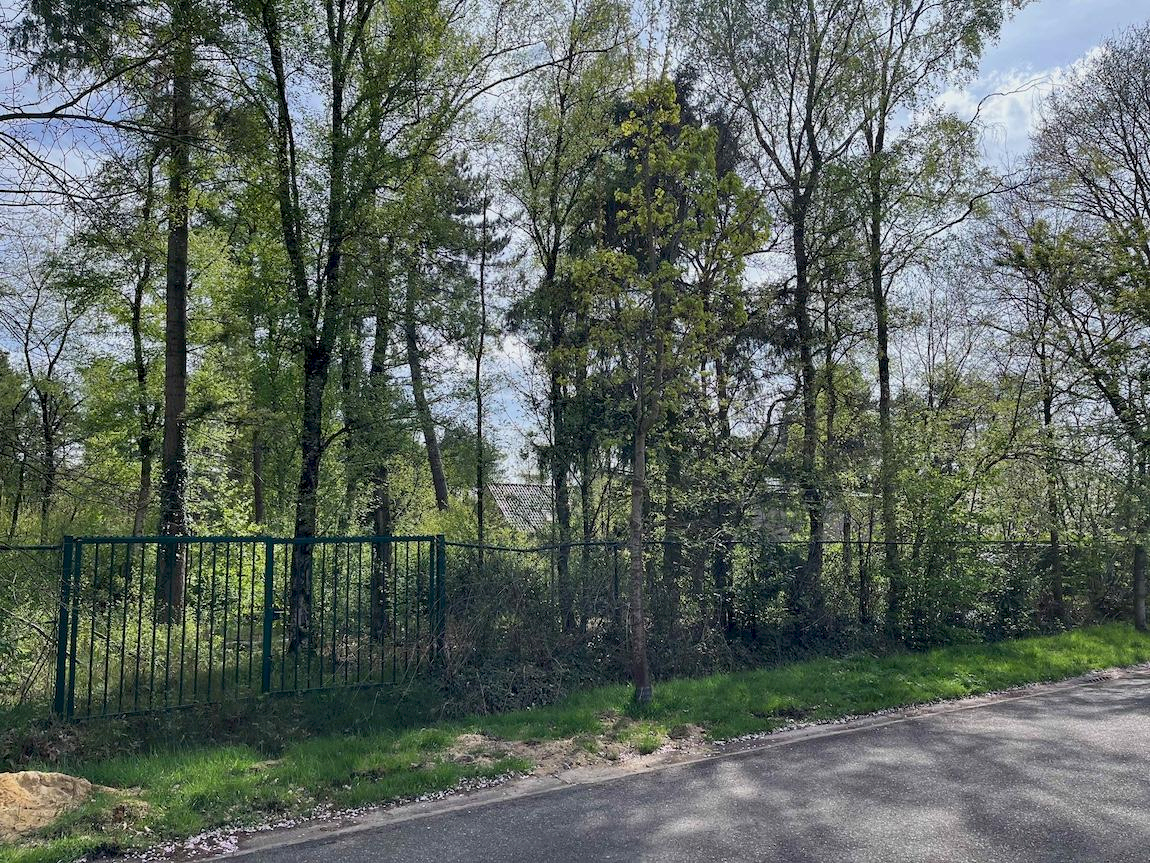 Terrain à vendre à Rijkevorsel - photo 4