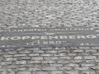 Uniek gelegen bouwgrond (af te breken woning) van 4000m2, aan de voet van de Koppenberg. Prachtige zichten rondom. Deze bouwgrond is een unieke...