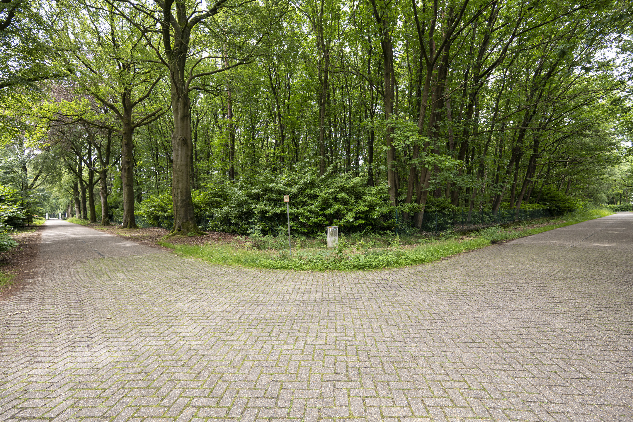 Villaperceel van ca. 2.239 m² met zuidwest-oriëntatie - foto 4