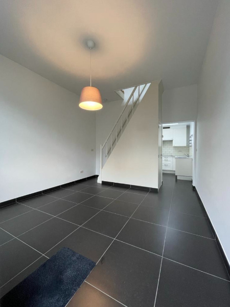 Recent gerenoveerde rijwoning aan stadspark! - photo 5