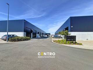 <u><strong>Benaderende OPPERVLAKTEN:</strong></u><br />Opslagruimte: 10,5m x 17,5m = 180m²<br />Parkeerplaats: 12,50m² <br /><br /><u><strong>AFWERKING:</strong></u>
<ul>
<li><strong>Constructie</strong><em>:</em> Geverfde staalconstructie met volledige overspanning, vrije hoogte 6m. Plaatsen van zonnepanelen op het dak is mogelijk.</li>
<li><strong>Buitengevels</strong><em>:</em> Gladde betonplint (10cm PIR) en metalen sandwichpanelen (10cm PIR). Op de gevel is er plaats voorzien voor een uithangbord van uw bedrijf.</li>
<li><strong>Binnenwanden</strong><em>: </em>Betonwanden (15cm) over de volledige hoogte. (RF 60).</li>
<li><strong>Dak</strong><em>: </em>Geïsoleerd (12cm PIR) steeldeck met dampscherm en PVC dakdichting.</li>
<li><strong>Vloer</strong><em>: </em>gepolierde betonvloer met vloerbelasting van 1T/m².</li>
<li>Geïsoleerde en automatische <strong>sectionaalpoort</strong> (h: 4,5m x b: 4m) – aluminium schrijnwerk op gelijkvloers (dubbele beglazing K: 1,1).</li>
</ul>
<strong><u>Algemeen</u>: </strong>Brandklasse C voorzien van RWA (geïntegreerd in de lichtstraat).<br /><br /><u><strong>NUTSVOORZIENINGEN:</strong></u><br />Stadswater, elektriciteit (drijfkracht, 3 x 400V, 32A), proximus, regenwaterput van 10.000l met socarex, afvoer. Afzonderlijke tellers.<br /><br /><u><strong>LIGGING:</strong></u><br />Centrale ligging in West-Vlaanderen.<br />Vlakbij N50 ( Baan Brugge-Kortrijk).<br />Op enkele kilometers van autosnelwegen E403/E40 (Doornik-Brugge).<br /><br /><u>* Bijzonderheden:</u><br />- Onmiddellijk beschikbaar<br />- Prijzen per maand, excl. BTW (21%), onderhoud gemene delen (afrekening syndicus) en onroerende voorheffing (conform aanslagbiljet)<br />- Onze referentie op <strong>www.centro.be</strong> : <strong>P0509</strong> of contacteer ons op <strong>050 70 01 02</strong>.