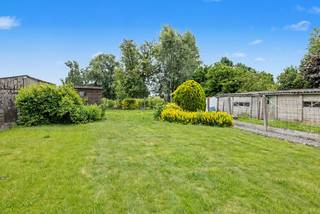 Bent u op zoek naar een karaktervolle woning met een unieke uitstraling, veel ruimte en een prachtig perceel? Dan is deze charmante herenwoning in het landelijke Bever zeker een bezoek waard.
Bij het betreden van de woning wordt u meteen gecharmeerd door de authentieke elementen zoals de hoge plafonds, sierlijke moulures, originele vloeren en de indrukwekkende traphal die doorloopt tot op de zolder. Dankzij de vele raampartijen geniet elke leefruimte bovendien van een aangename natuurlijke lichtinval.
De woning beschikt over 3 ruime slaapkamers, waarvan één op het gelijkvloers naast de badkamer, wat zorgt voor extra comfort. Daarnaast is er een aparte bureauruimte (of kleinere kamer) en biedt de ruime zolder tal van mogelijkheden om nog twee extra slaapkamers of een polyvalente ruimte te creëren.
Buiten geniet u van een prachtige, grote tuin met aansluitend een weide, samen goed voor een perceel van maar liefst 17a 70ca. Een ideale plek voor wie houdt van rust, ruimte en groen.
Interesse? Contacteer Sophie voor meer informatie of een bezoek via 0496 71 50 59.