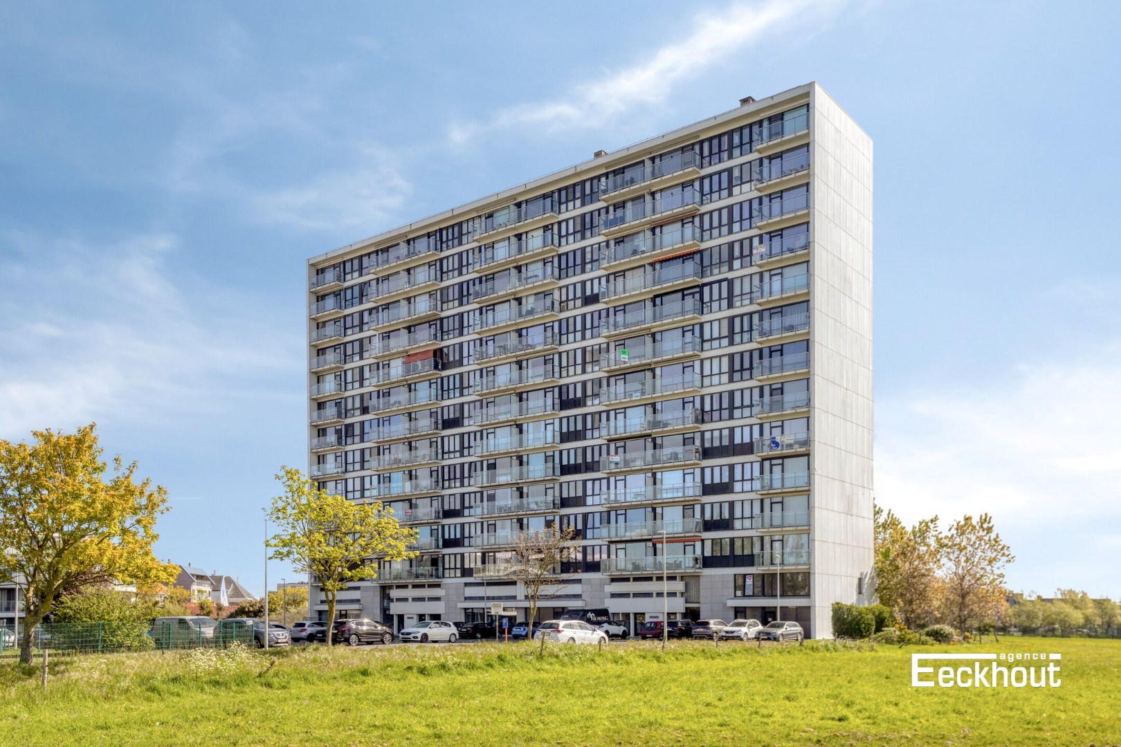 Appartement met terras en open zicht in Bredene, met autostaanplaats - foto 5