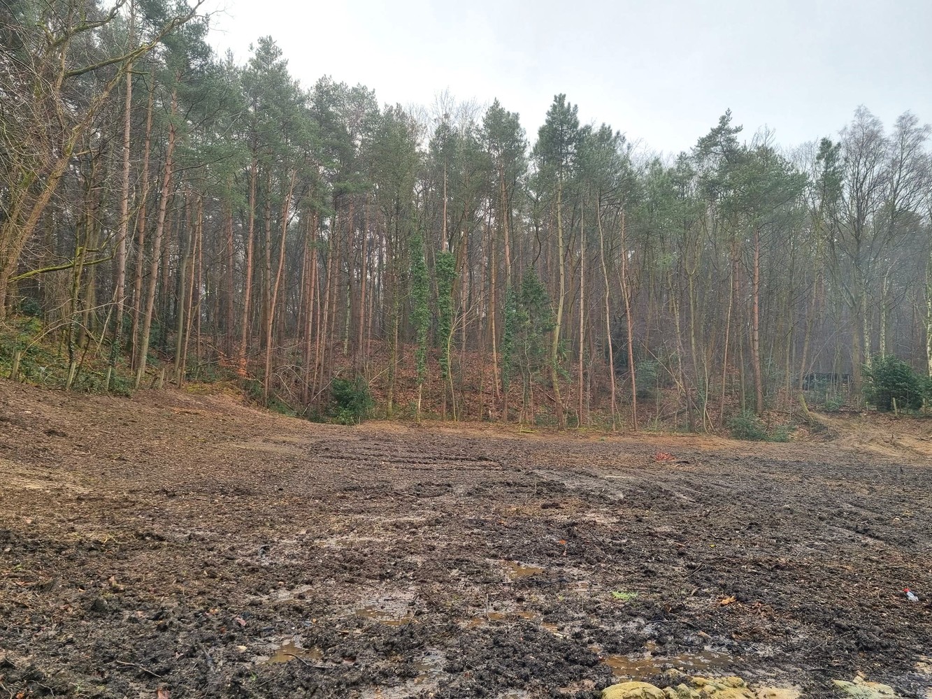 Bouwgrond vrijstaande woning, zuidgericht en zeer rustige ligging met groen boszicht achteraan - foto 4