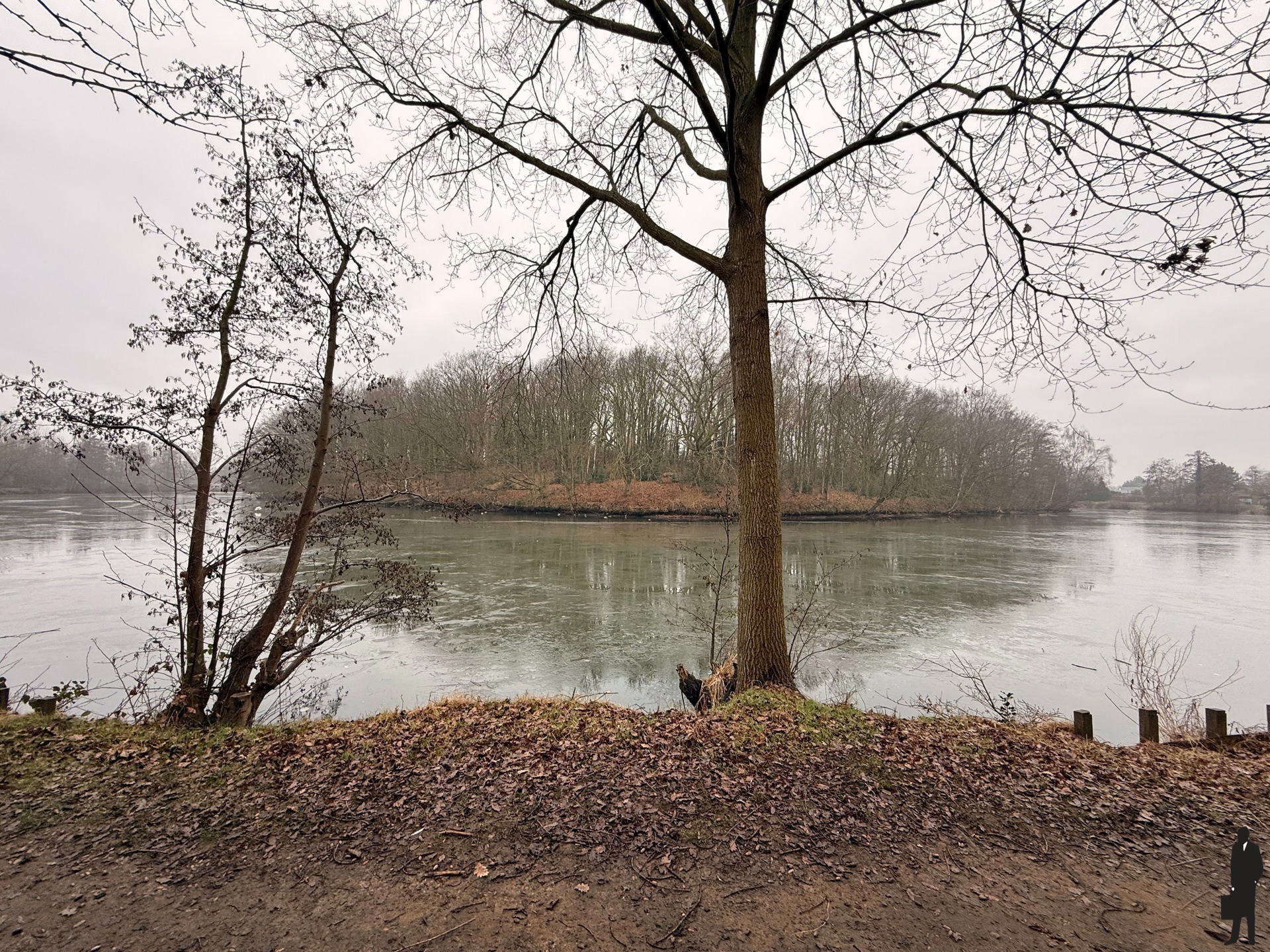 Prachtig gelegen agrarisch gebied/bos nabij fort van Duffel - foto 4