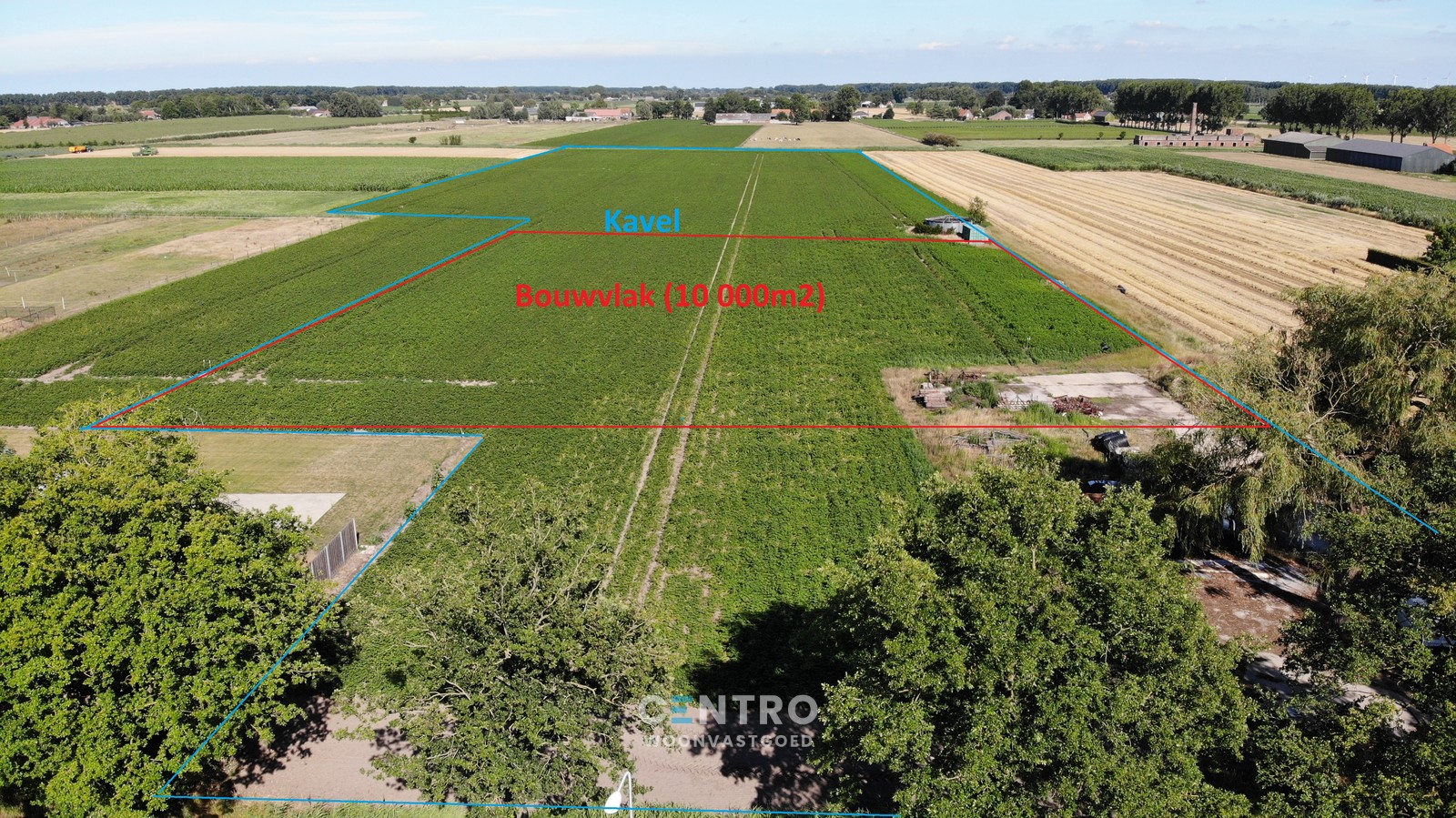 4,5 hectare grond met 1 hectare bouwvlak! - foto 4