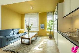 Apartment for rent in Antwerp