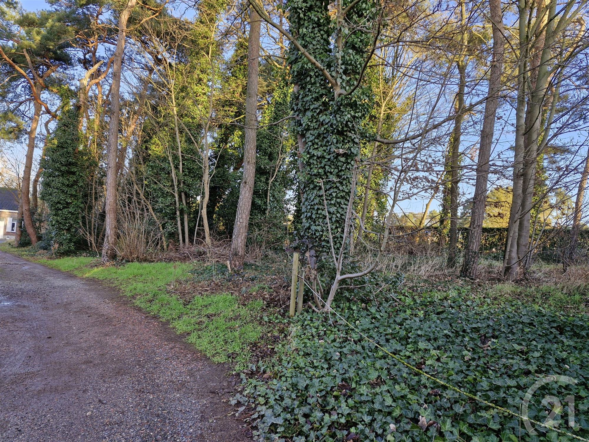 Bouwgrond te koop in Tremelo! - foto 1