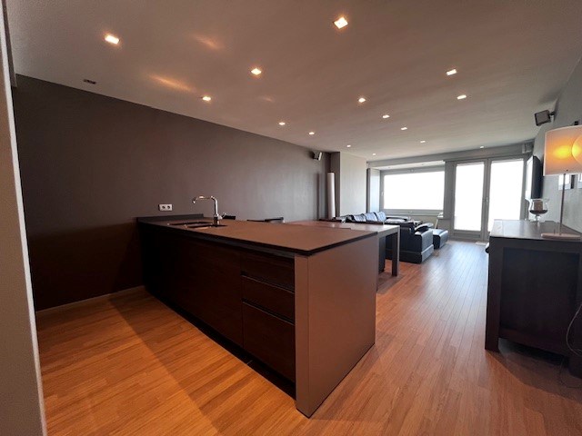 Ruim appartement met frontaal zeezicht. - foto 4