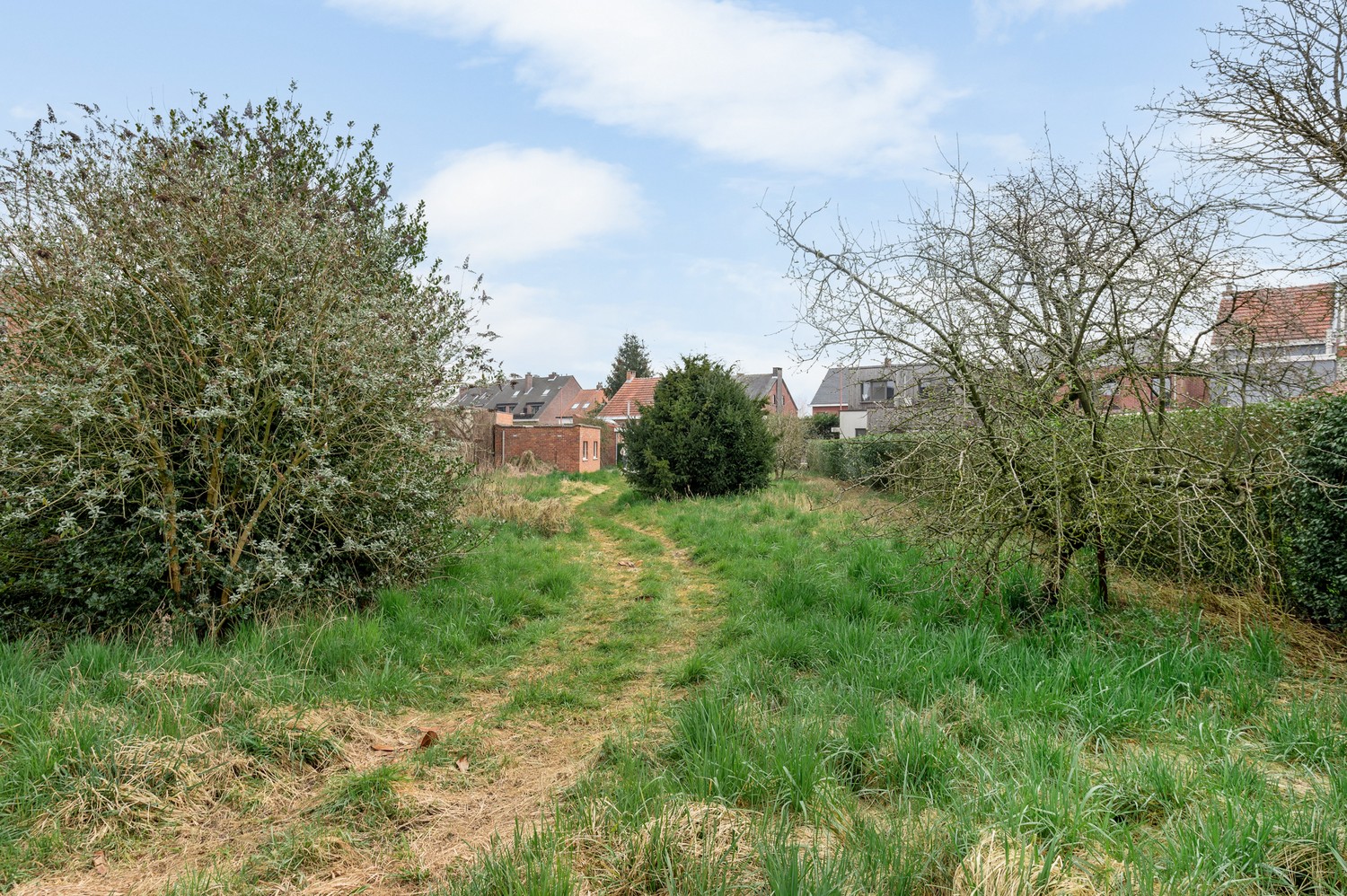 Terrain à vendre à Lint - photo 4