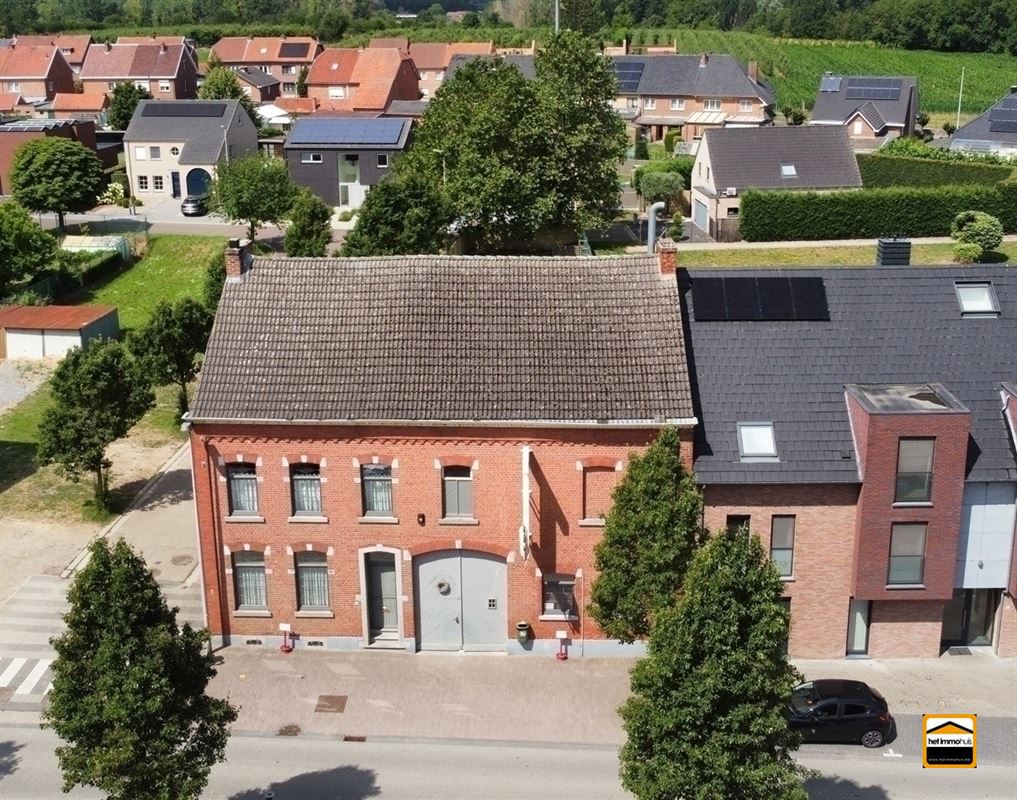 handelspand - foto 2