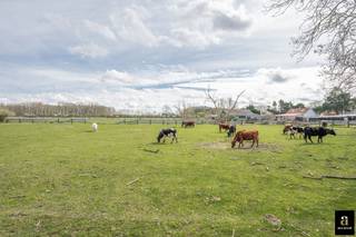 Uitzonderlijke eigendom met een uniek open zicht op de Hazegraspolders, vlakbij het Oosthoekplein. Indeling: inkomhal met vestiaire. Volledig ingerichte keuken met keukentoestellen Miele (combi, micro, stoomoven, grote oven, wijnfrigo,...), lichtrijke leefruimte met eetplaats genietend van het uitgestrekte open zicht naar de polders, haard op bio ethanol. Gastentoilet met extra berging. 3 volwaardige slaapkamers waarvan 2 slaapkamers met elk hun privatieve douchekamer en de master kamer met aansluitend badkamer met ligbad, douche, dubbele lavabo en toilet. Alle kamers zijn voorzien van ingemaakte kasten. Op de begane grond bevindt zich een charmante tuin met terras. Inpandige ruime garage voor 2 wagens, volledige kastenwand en wasplaats. Elektrisch oplaadpunt. 2 parkeerplaatsen buiten en 1 bezoekersparking. De woning is rustig gelegen op wandelafstand van het Zwin, de zee en de winkels. Luxe afwerking met mooie materialen. Vloerverwarming, alarm.