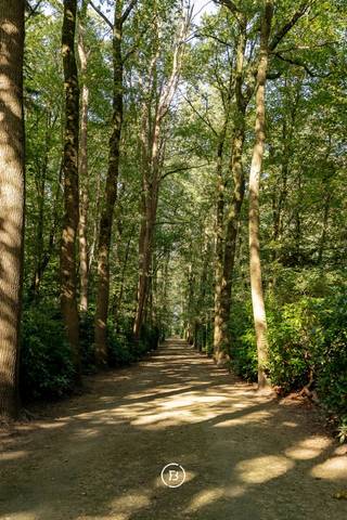 Op een uitgestrekt domein van 10 hectare, omsloten door een oude dreef en groene zones, bevindt zich een karaktervol landgoed met tal...
