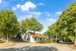 Deze te renoveren woning is gelegen in een rustige en groene omgeving te Mol.<br />Het perceel is 800m² groot en is zuid-west georiënteerd.<br /><br />De indeling van de gelijkvloerse verdieping is de volgende: <br />Een woonkamer, een gedeeltelijk ingerichte keuken, een badkamer met douche, lavabo en wc en twee slaapkamers.<br />Op een tussen verdieping boven de kelder is er een derde slaapkamer.<br /><br />De zolderverdieping zou ook nog kunnen ingericht worden.<br /><br />Om te voldoen aan de renovatieverplichting is het voldoende om de muren te isoleren.<br /><br />De ruime en zonrijke tuin kan u nog naar eigen smaak aanleggen.<br /><br /><br />Bij de foto's hebben we een aantal visualisaties toegevoegd om te laten zien wat het kan worden.