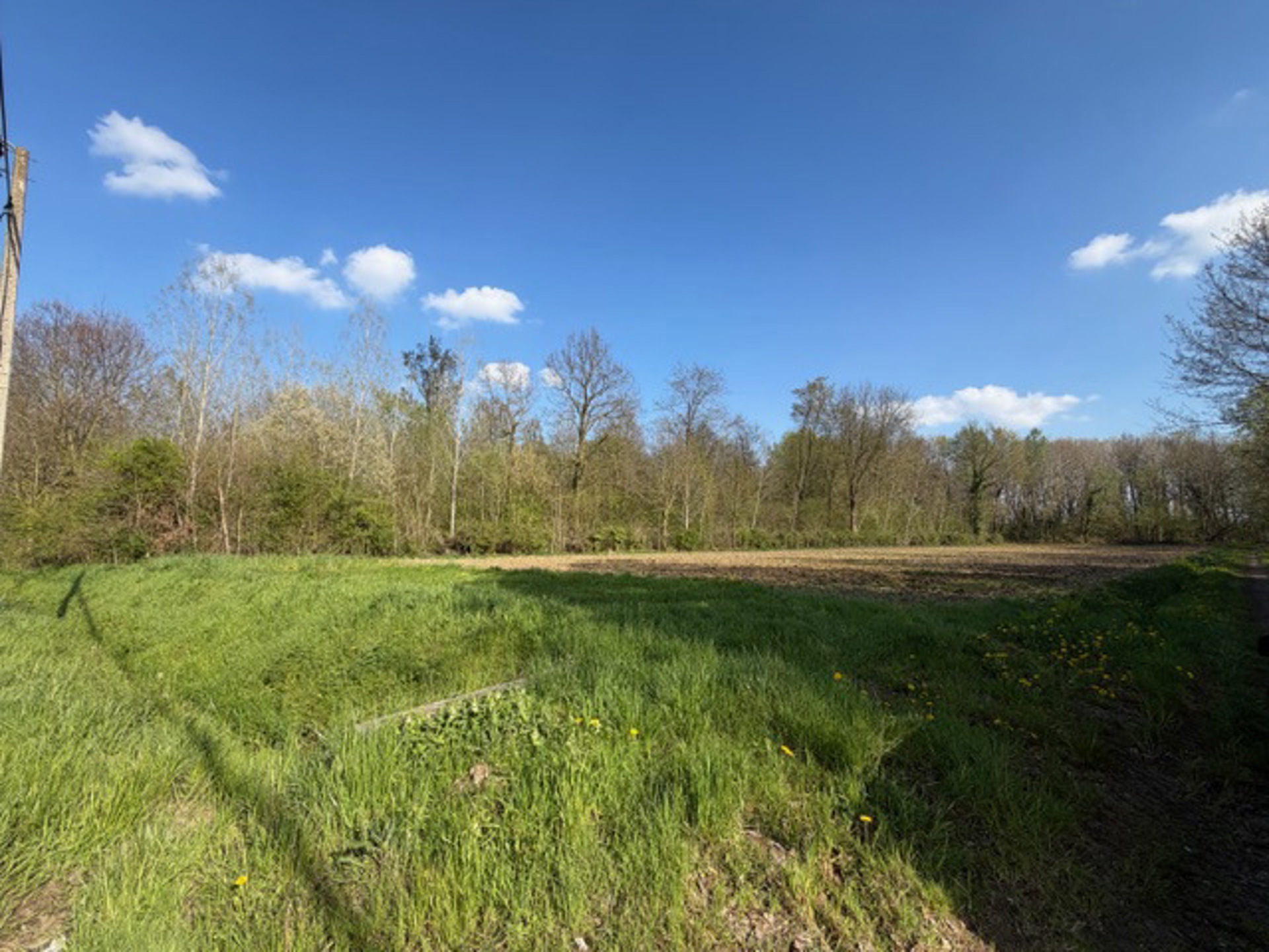  32 are landbouwgrond te Glabbeek - foto 3