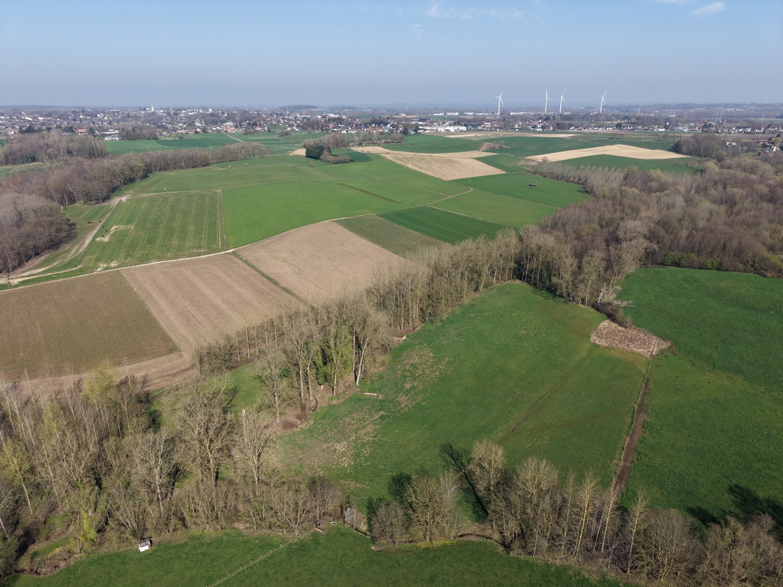 Land for sale in Dilbeek - photo 5