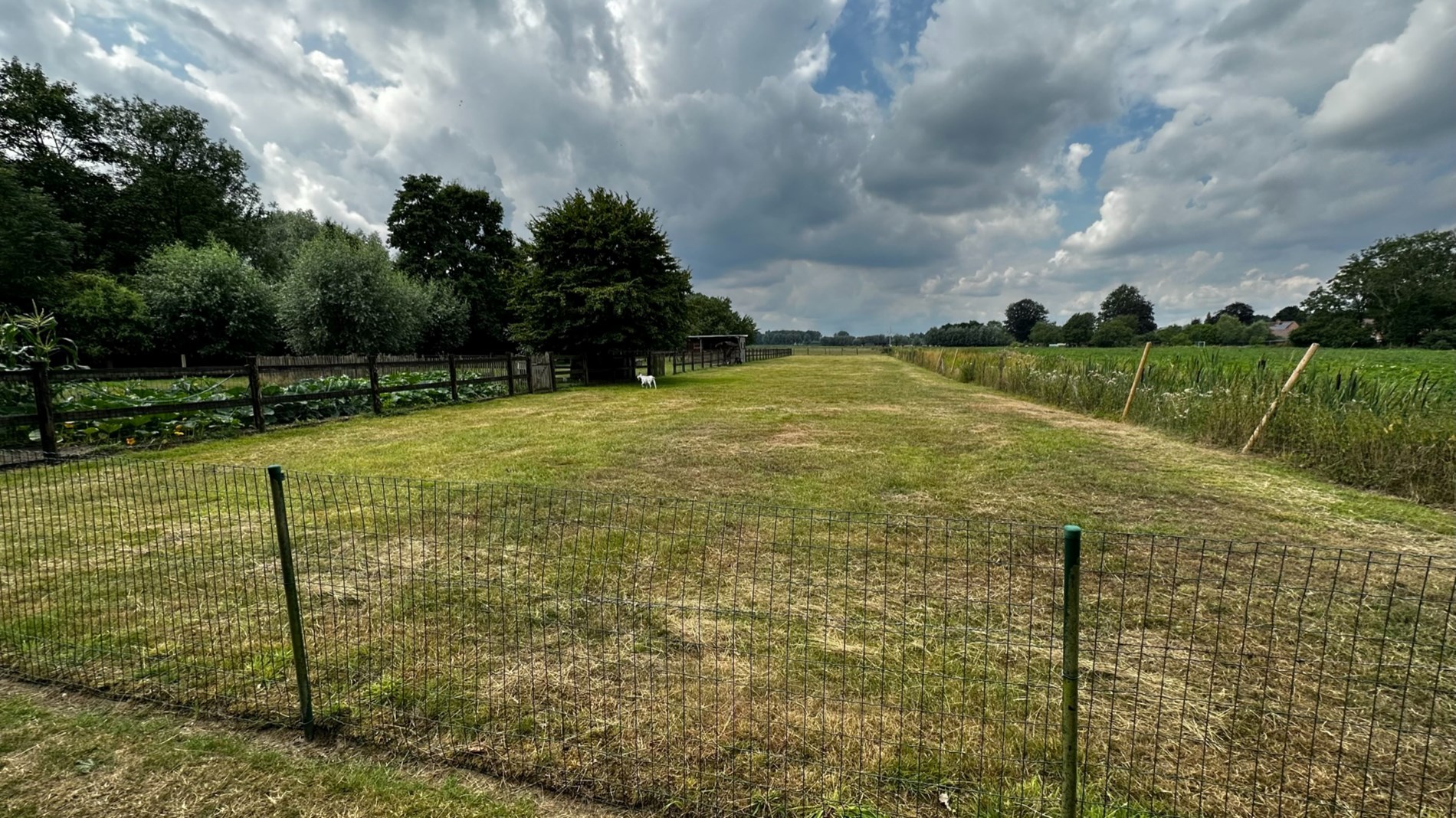 Ruime woning te Sinaai met weide - foto 4