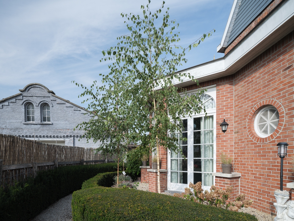 Sint-Amandsberg. Op te frissen directeurswoning met bijhorend magazijn en afzonderlijke loft op een boogscheut van het centrum van Gent. - foto 2