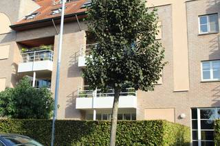 <h3><span>Troeven:</span></h3>
<ul>
<li><span>122 m² woonoppervlakte</span></li>
<li>Gelijkvloers appartement</li>
<li>Ruime woonkamer met open keuken</li>
<li>Rechtstreekse toegang tot het terras</li>
<li><span>3 slaapkamers</span></li>
<li>Badkamer en aparte berging</li>
<li>Volledig geschilderd bij oplevering</li>
<li>Eigen kelderberging</li>
<li>Gemeenschappelijke fietsenstalling</li>
<li>Parkeermogelijkheden in de nabije omgeving</li>
</ul>