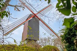 Dit zeldzaam lot grond van 866 m², gelegen in de Peterseliestraat in Brugge, met zicht op de Brugse Vesten is een unieke mogelijkheid om...