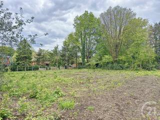 Land for sale in Aarschot