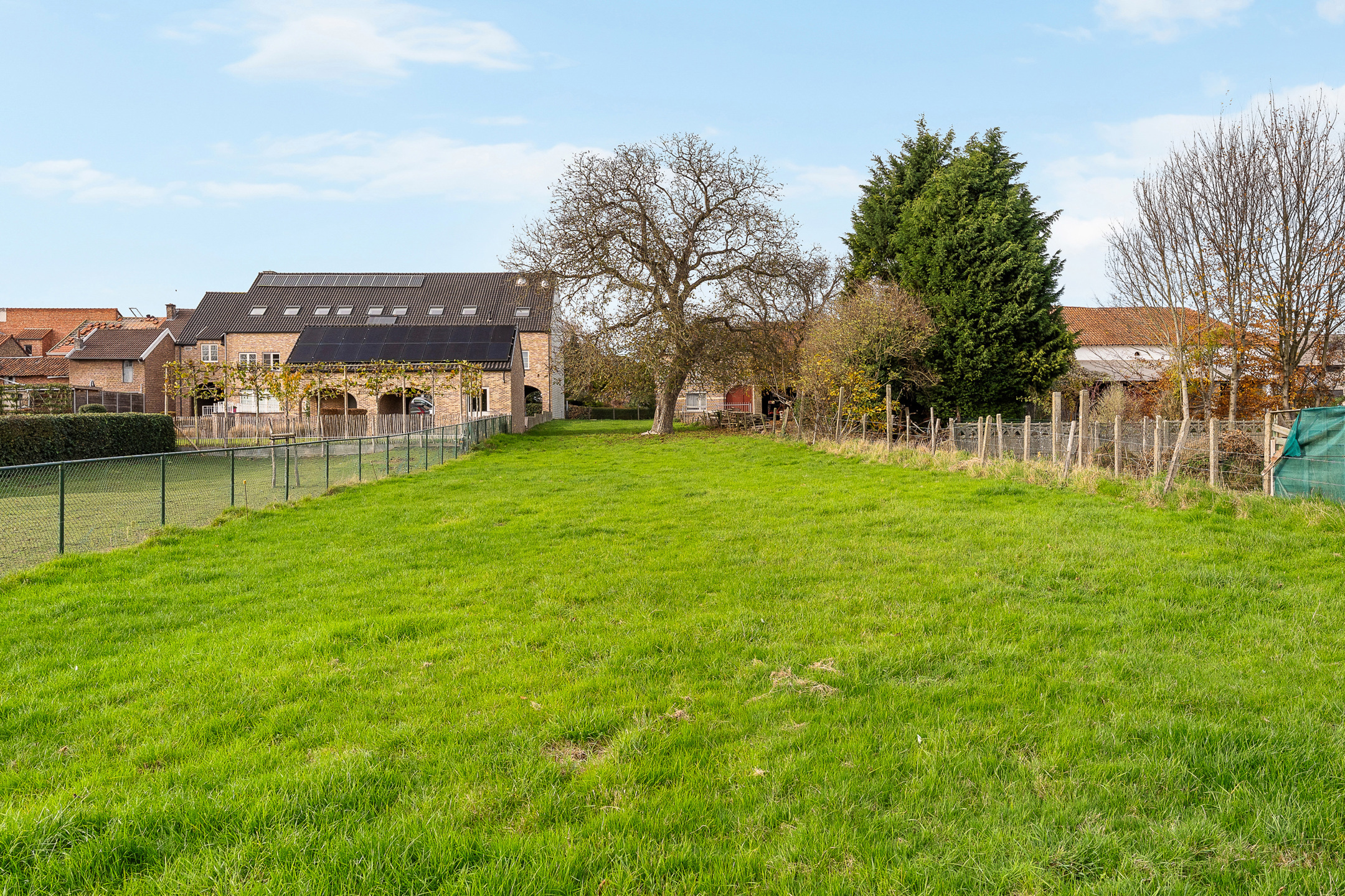 Land for sale in Riemst - photo 5