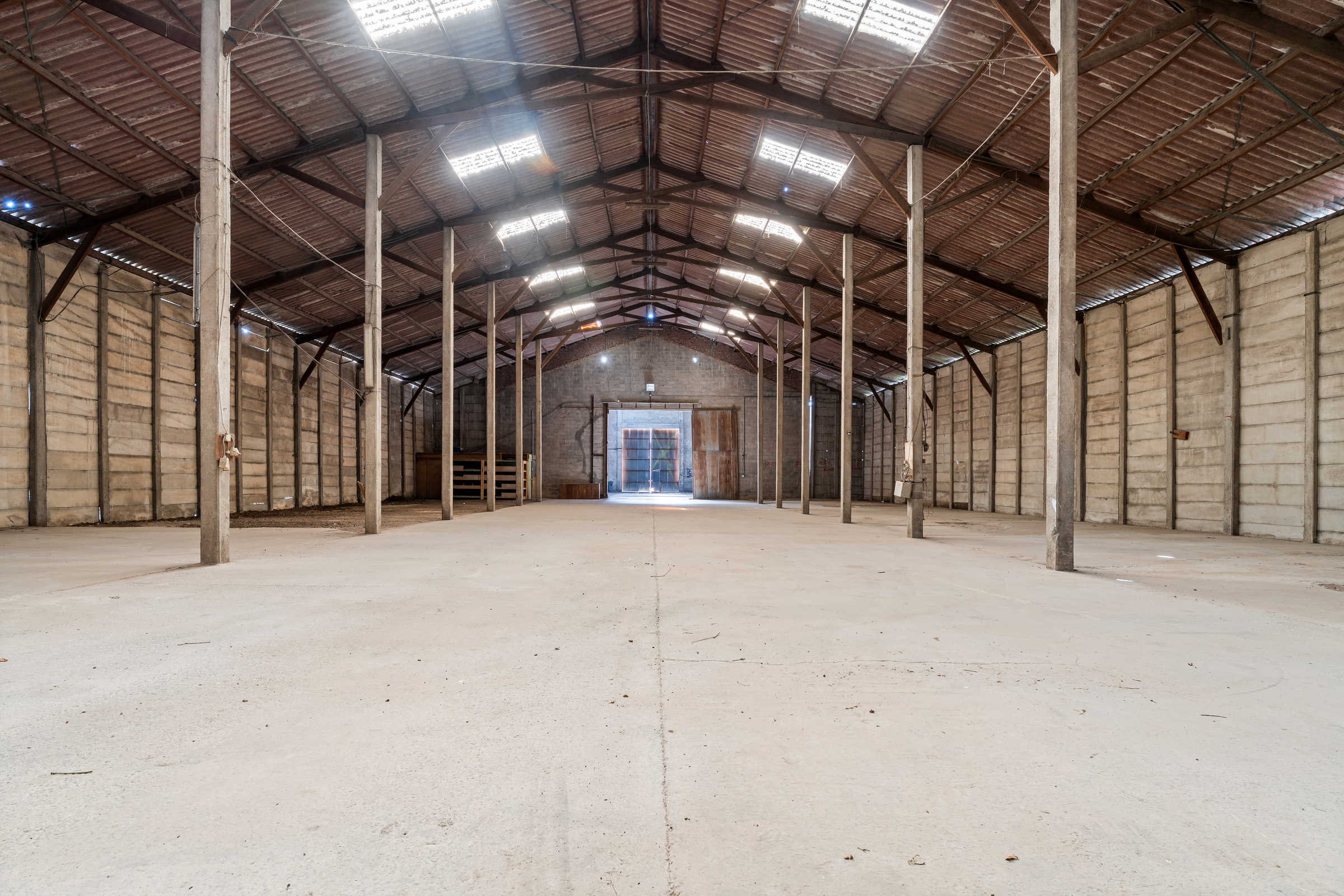 Commercial for sale in Dentergem - photo 3