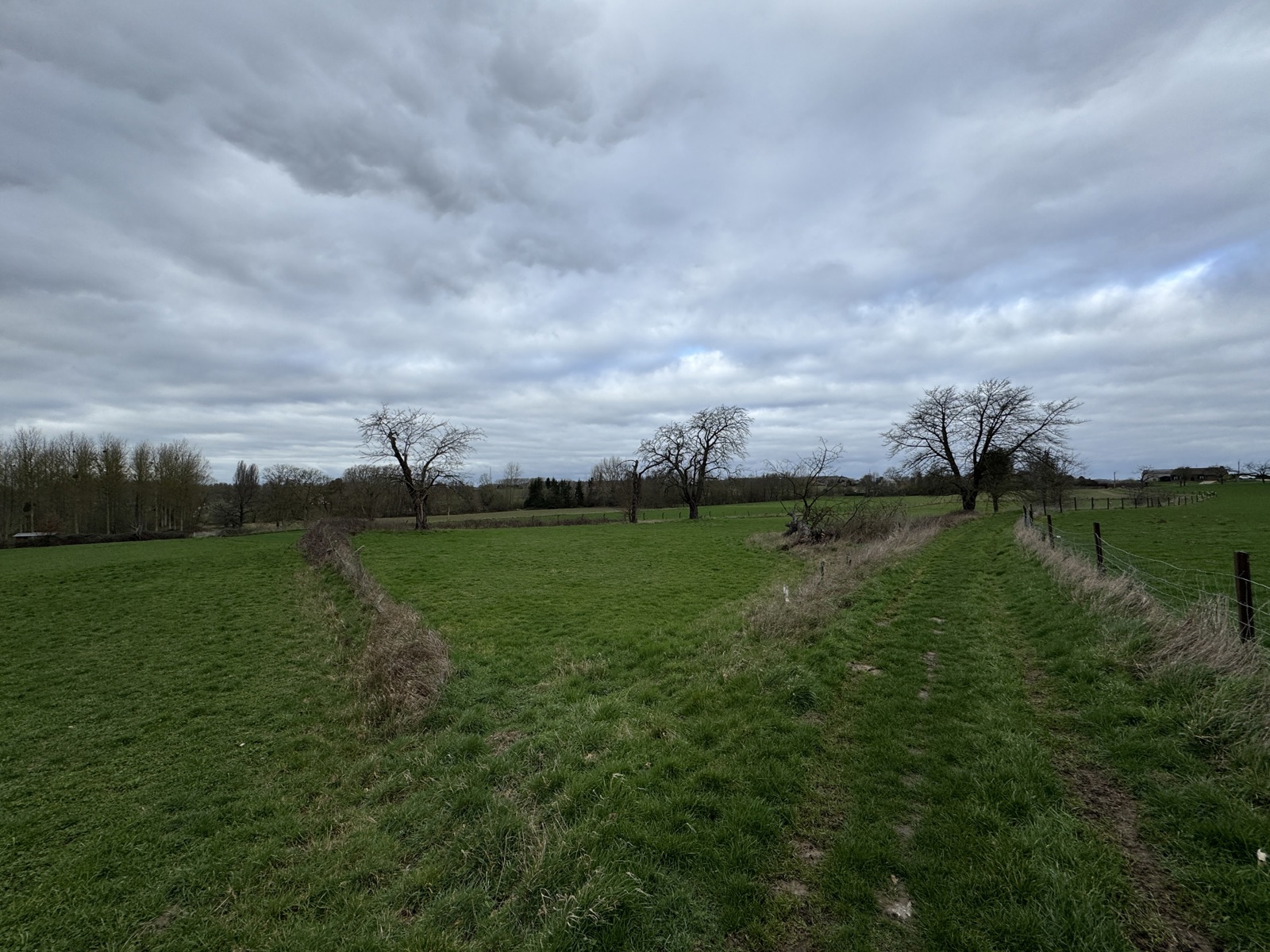 Perceel landbouwgrond van 62a 32ca - foto 5