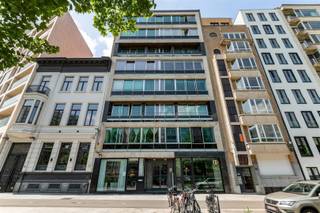 <p>Luxueuze winkelruimte of kantoor (ca. 46m2) vlakbij Rooseveltplaats, Centraal Station en Antwerpse Meir.<br />Op wandelafstand van openbaar vervoer, winkelcentrum en vele kantoorgebouwen.<br />Toonzaal of kantoorruimte op mortexvloer, verzorgde kitchenette met sanitair.<br />Recent volledig gerenoveerd met extra aandacht voor energiezuinigheid (warmtepomp, superisolerende beglazing,...).<br />Grote dressingkast en wijnkast worden verwijderd of kunnen overgenomen/aangepast worden naar wens.<br />Lage algemene kosten.<br />GEEN HORECA TOEGELATEN.</p><p>Info/bezoek: 03/283 83 00 - noord@sinjoor.be</p>