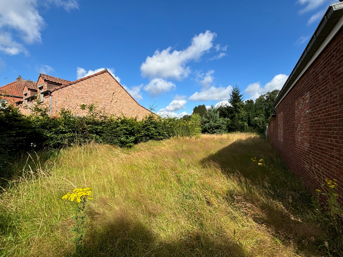 Terrain à vendre à Mol - photo 1