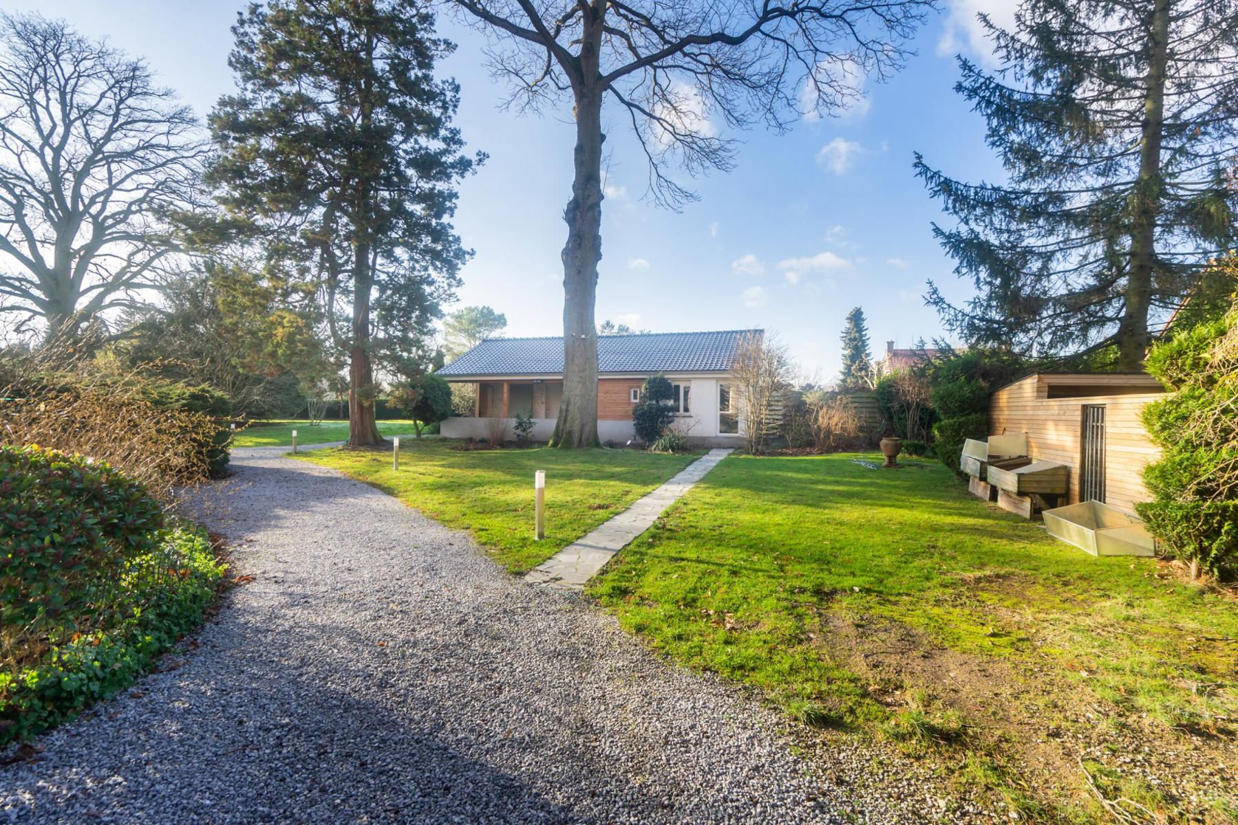 MALEIZEN: UITZONDERLIJKE 6SLPK VILLA OP EEN GROND VAN +/- 5000M² - foto 4