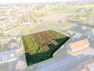 Terrain à vendre à Deerlijk