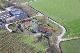 Tuinbouwbedrijf, gelegen op de flank van de Paterberg in Kwaremont.<br />Fruitloods met een oppervlakte van circa 2075 m². Aan de loods is een gelijkvloers bedrijfswoning<br />aangebouwd (2008) van 375 m², met aangelegde tuin van 1750 m².<br />Er is een tweede bedrijfswoning losstaand van de loods, zijnde een omwalde authentieke hoeve met<br />bijhorende schuur. In de loods zijn frigo’s voorzien om 1 miljoen kilo fruit te koelen, waarvan 600.000 kg<br />operationeel, uitgerust met ULO. Er zijn twee laadkaaien aanwezig.<br />Op het nieuw gebouwde magazijn (2008) liggen186 zonnepanelen, voor een productie van 50,22 kW energie ( 2018).<br />De huidige plantages bestaan uit circa 4,5 ha Conférence en 8 ha Jonagold.<br />Het domein heeft een totale oppervlakte van 178.367 m².