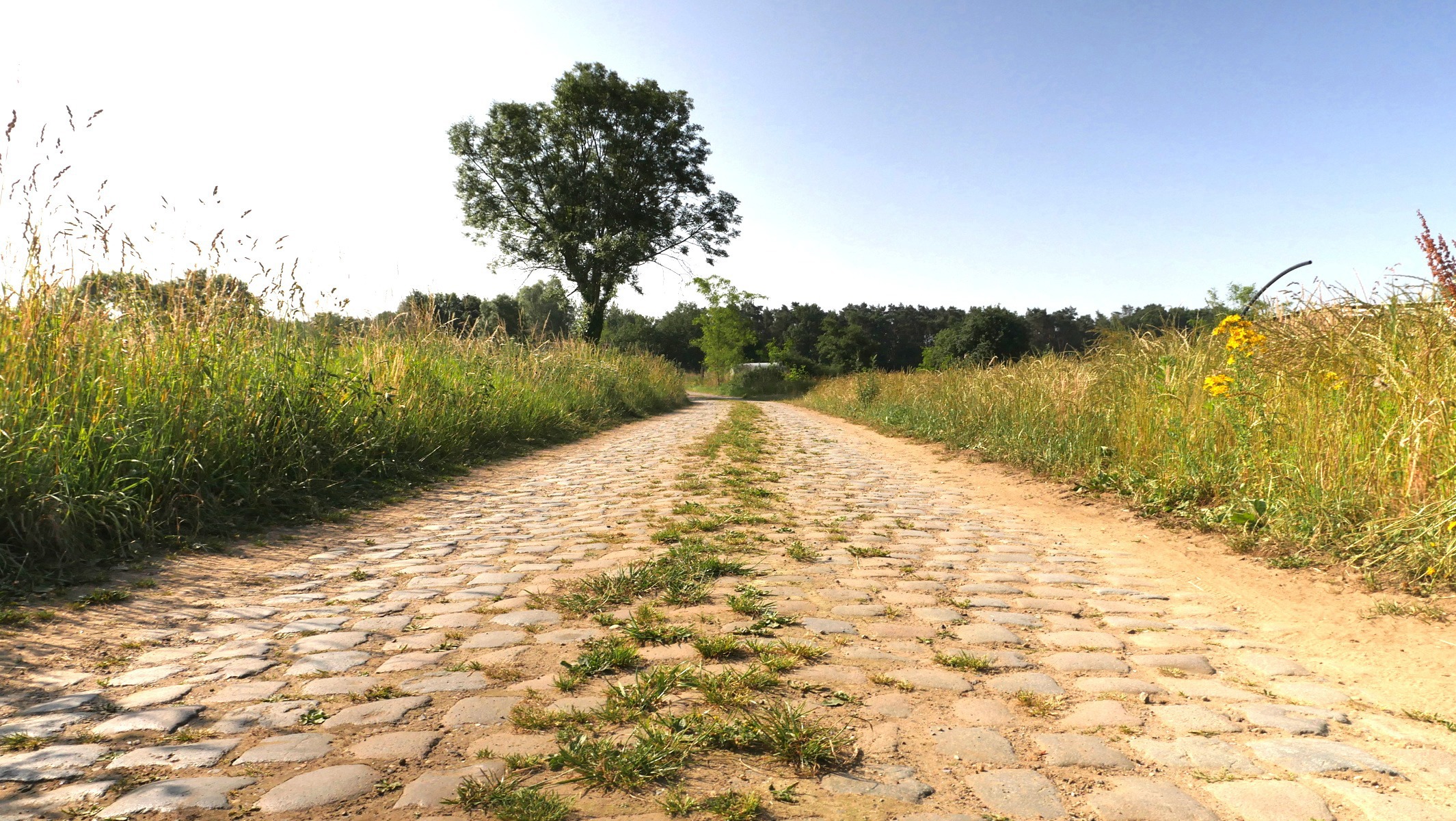 Twee uitzonderlijke gronden OB– tussen natuur en comfort - foto 5